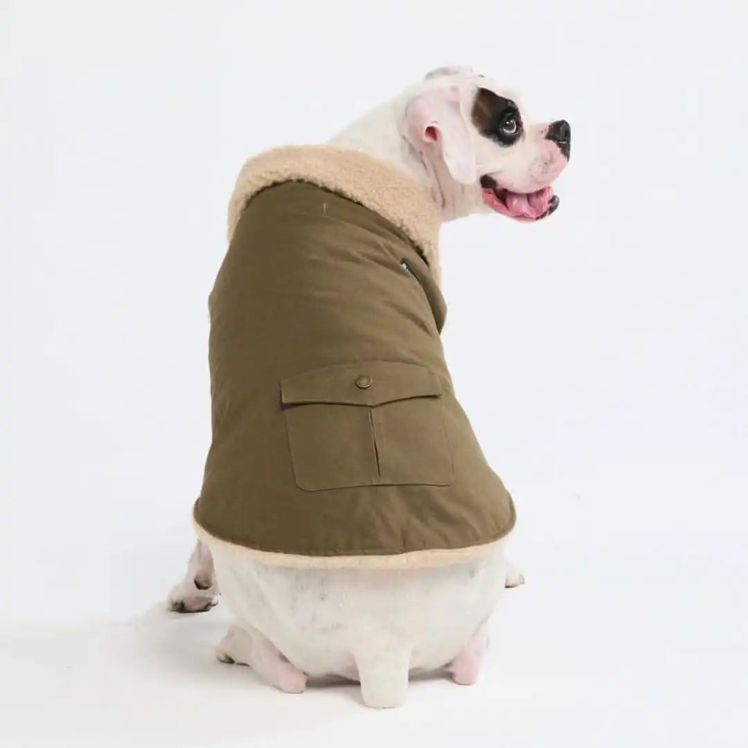sparkpawsmaut.com