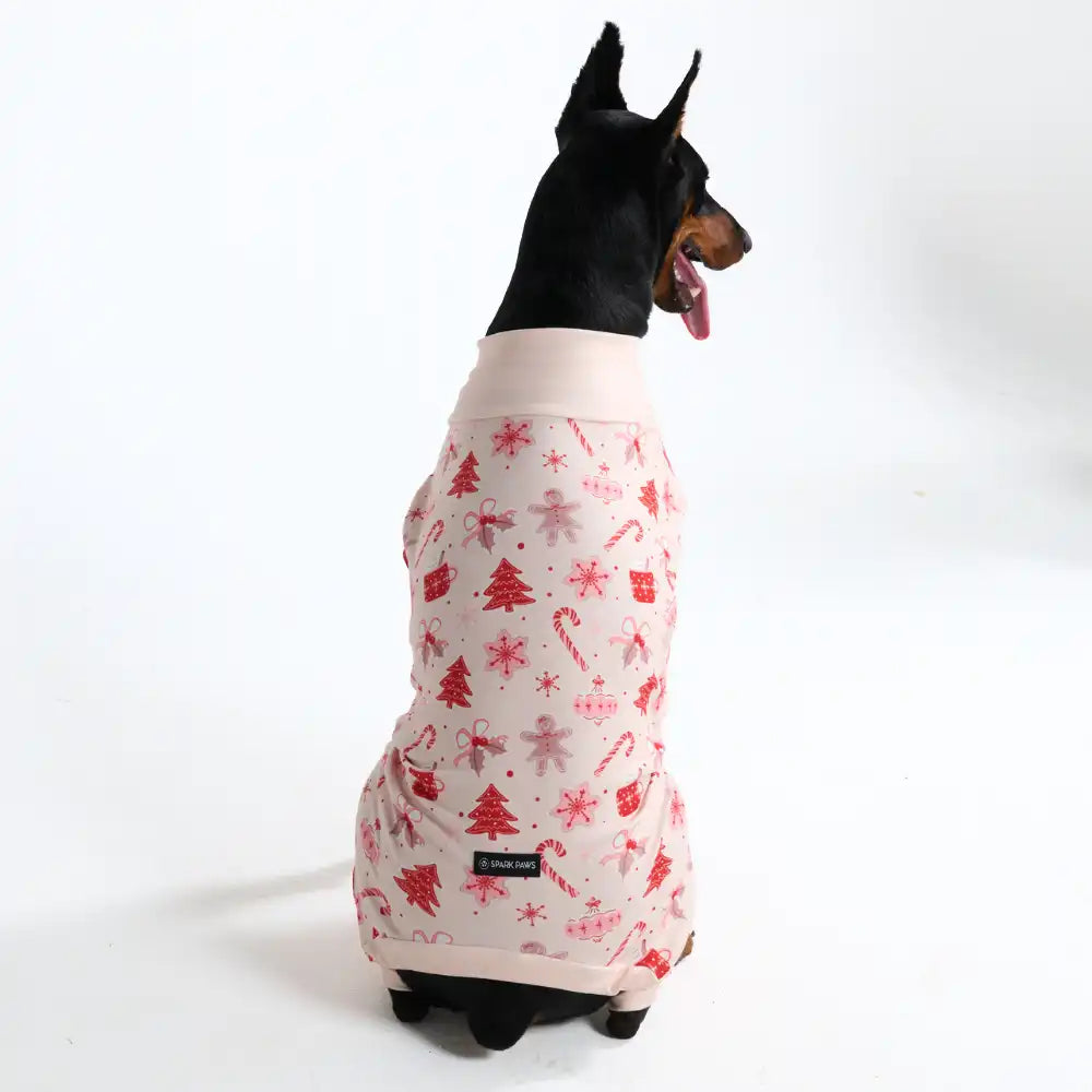sparkpawsmaut.com