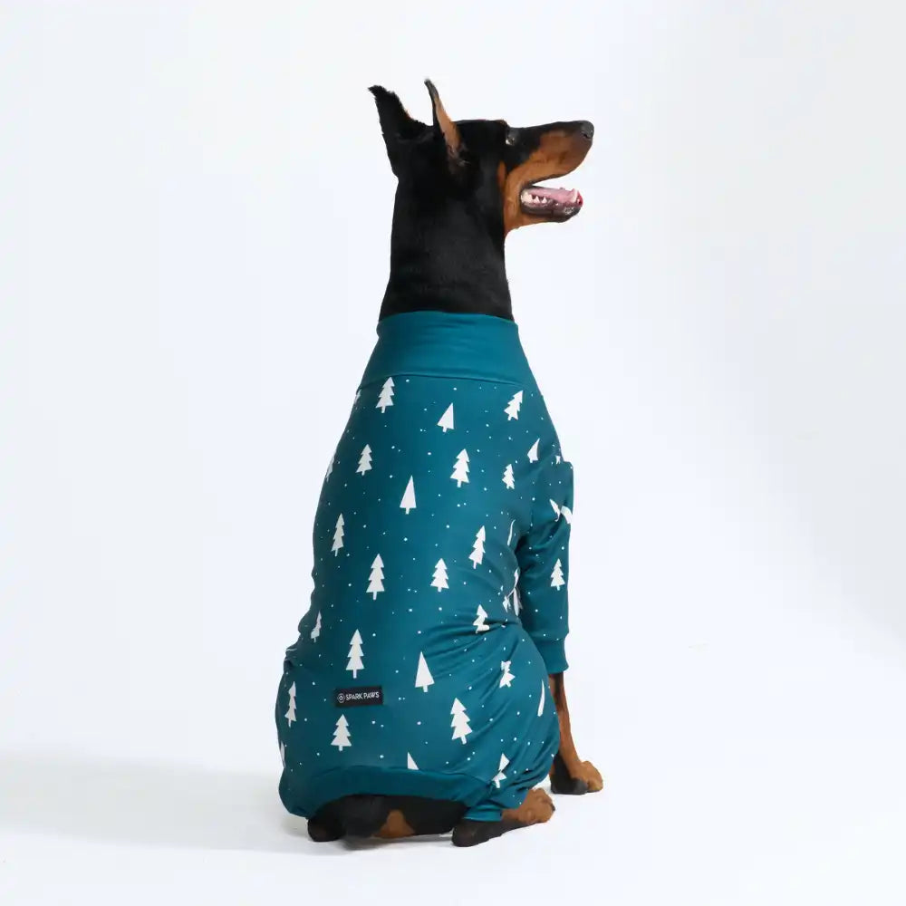 sparkpawsmaut.com