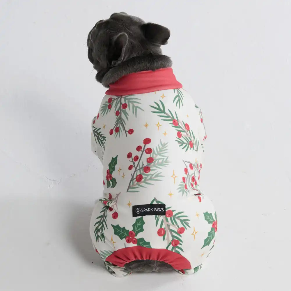 sparkpawsmaut.com