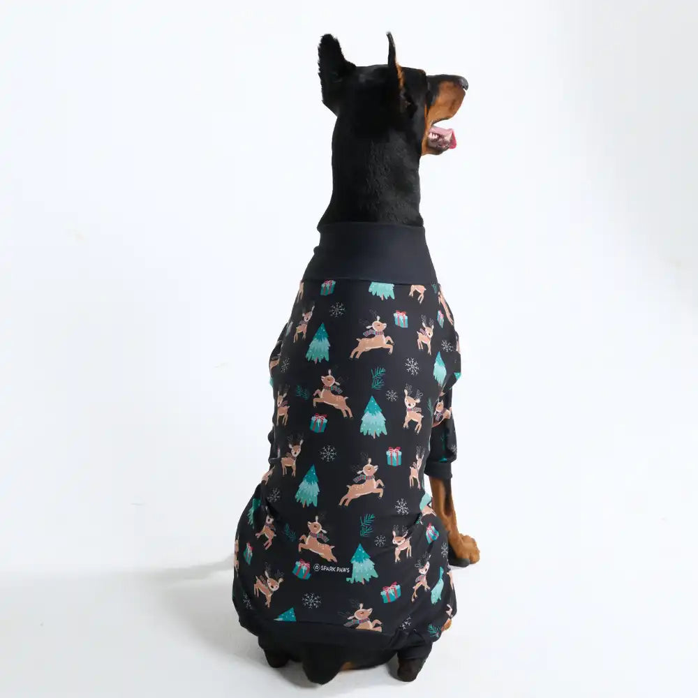 sparkpawsmaut.com