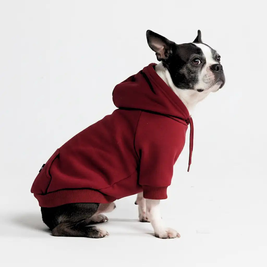sparkpawsmaut.com
