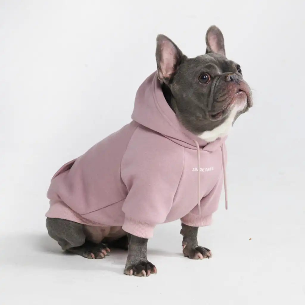sparkpawsmaut.com