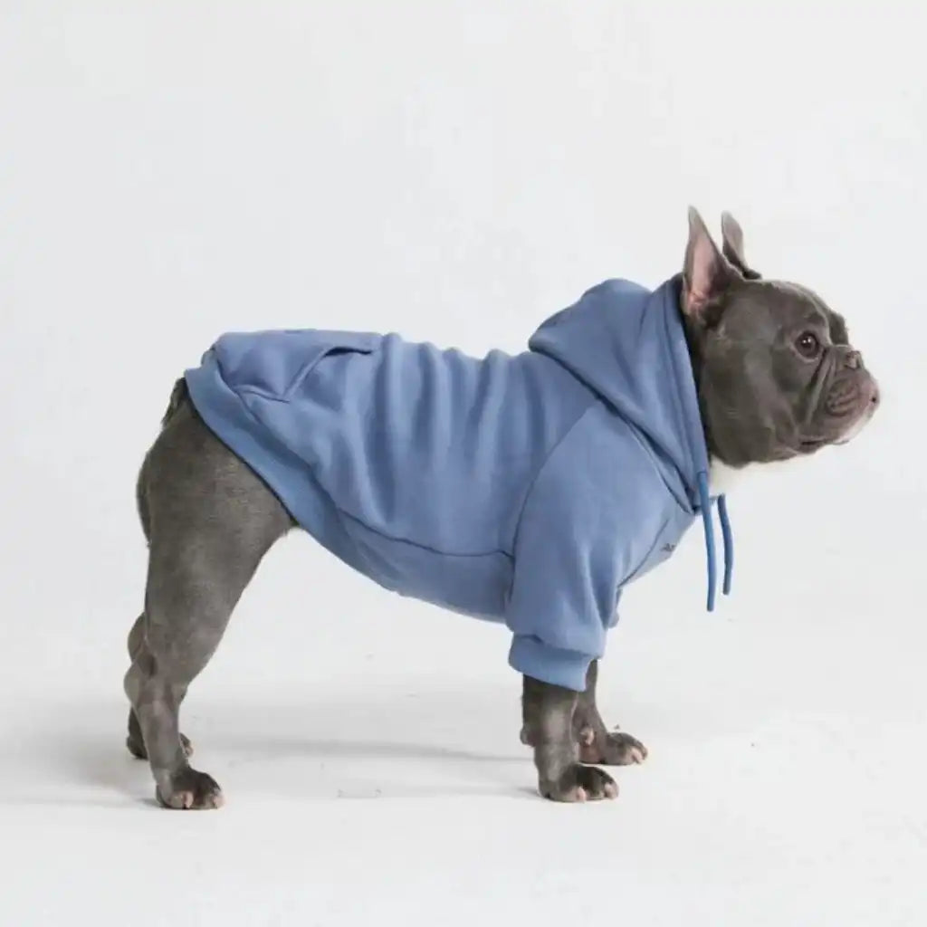sparkpawsmaut.com