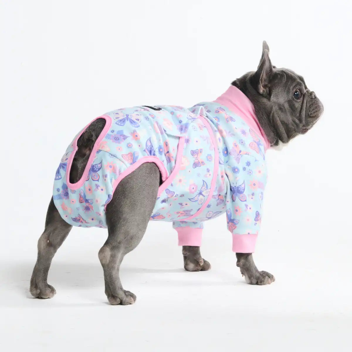 sparkpawsmaut.com