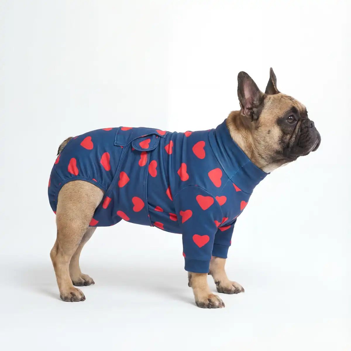 sparkpawsmaut.com