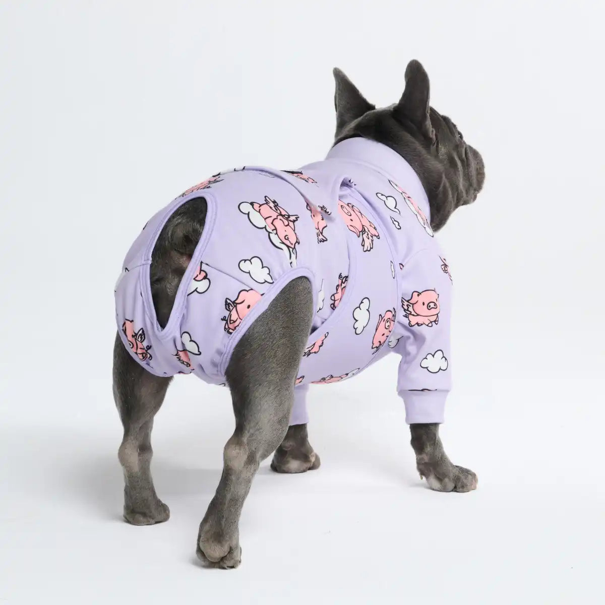 sparkpawsmaut.com