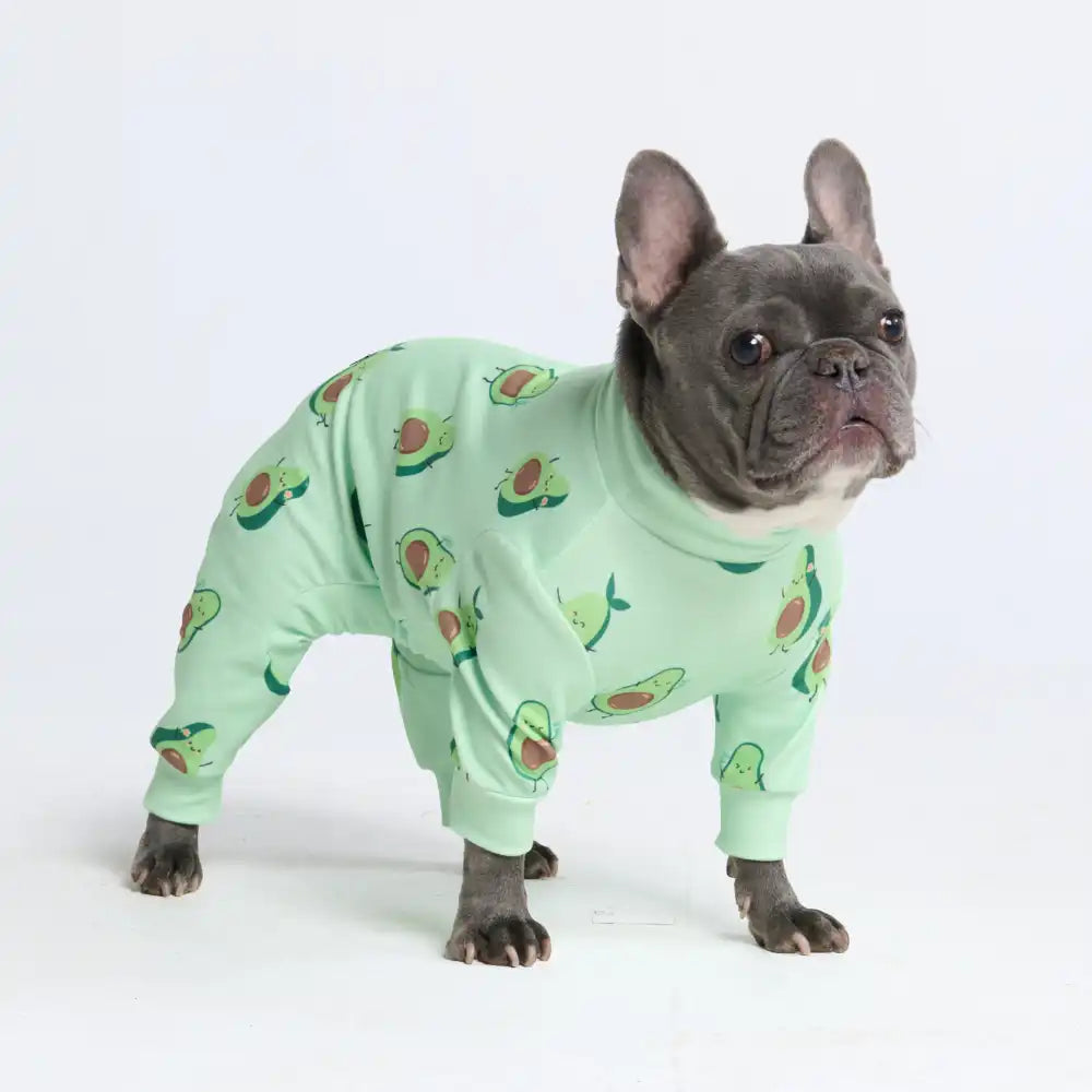 sparkpawsmaut.com