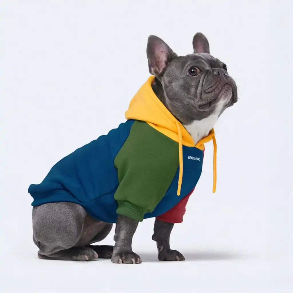 sparkpawsmaut.com