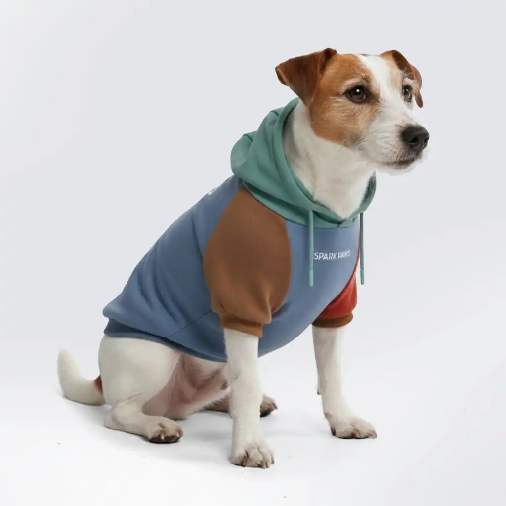 sparkpawsmaut.com