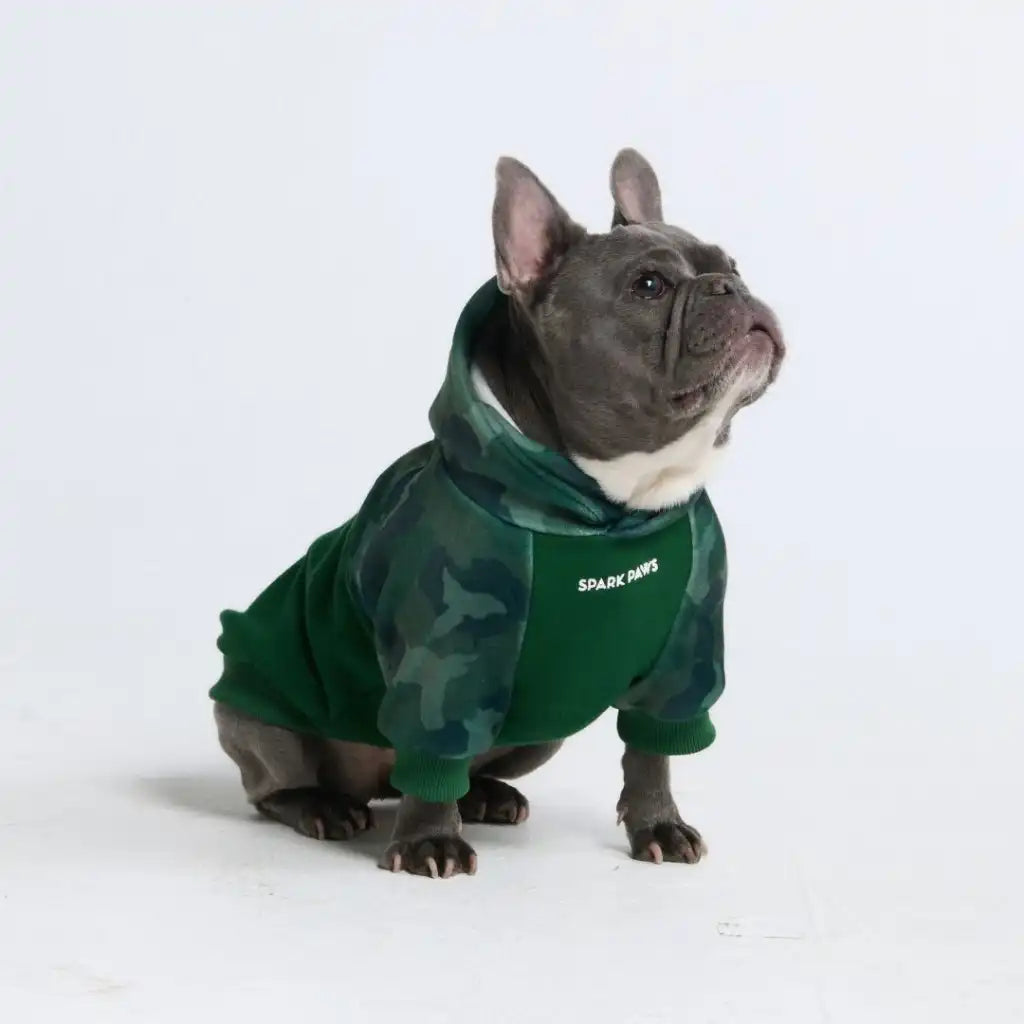sparkpawsmaut.com