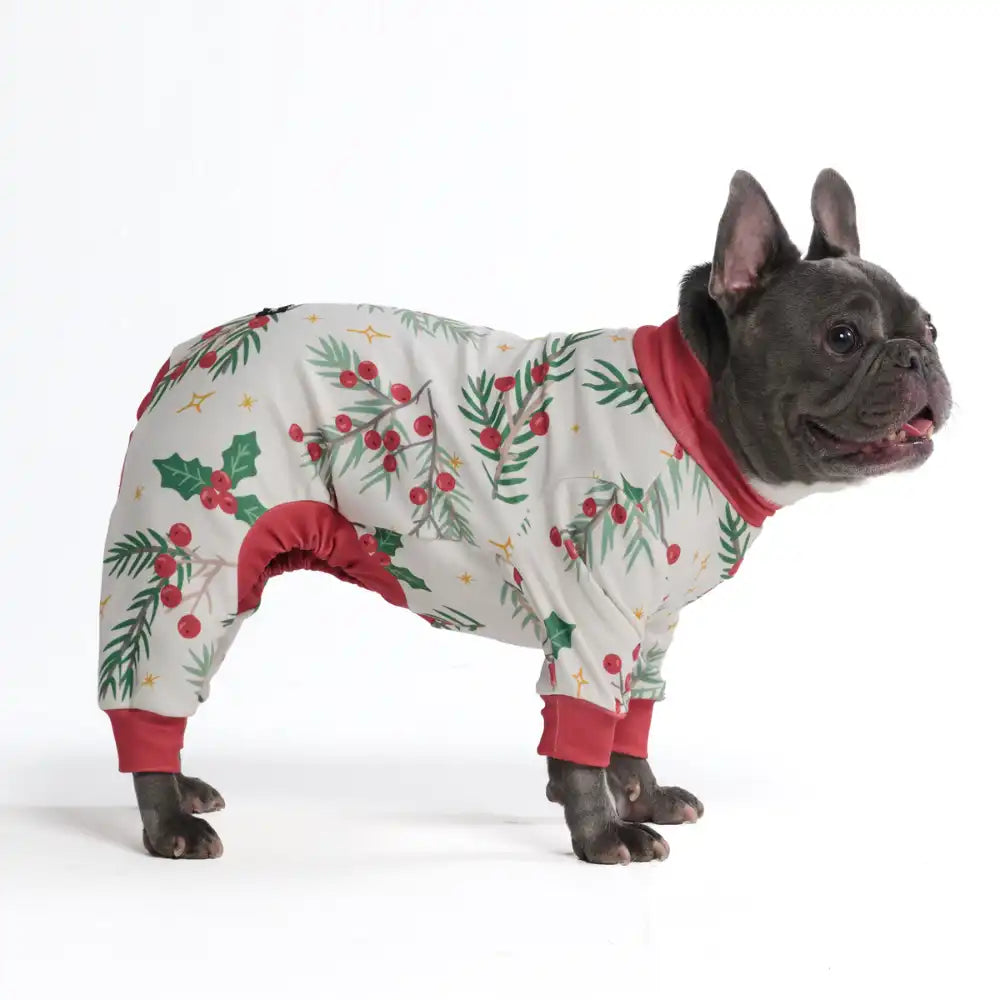 sparkpawsmaut.com