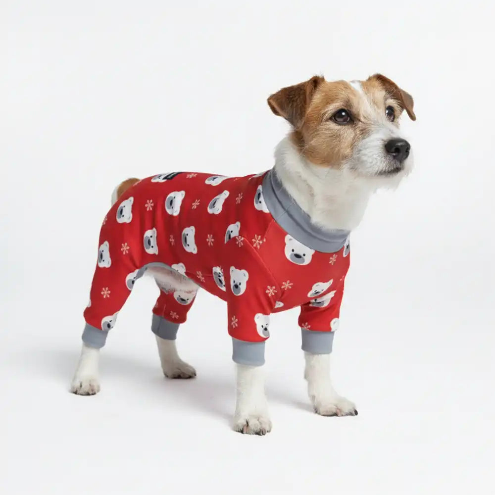 sparkpawsmaut.com