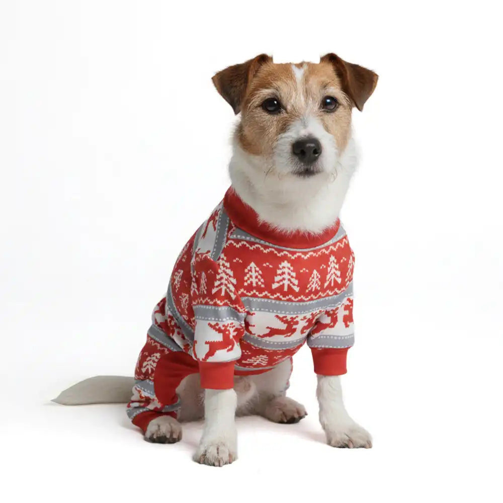 sparkpawsmaut.com