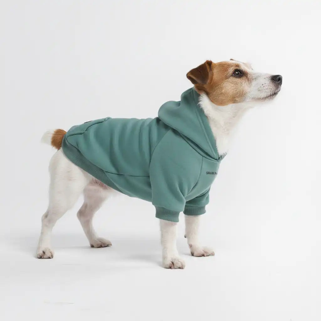 sparkpawsmaut.com