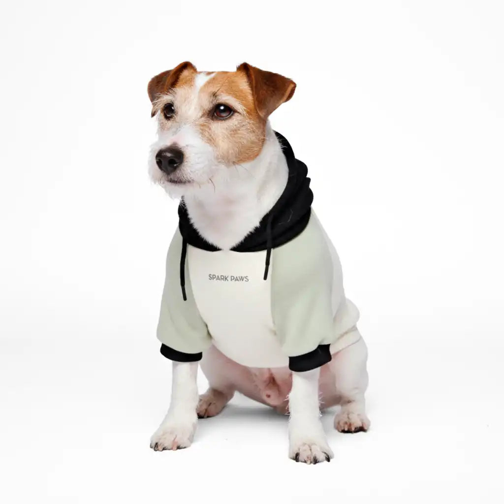 sparkpawsmaut.com