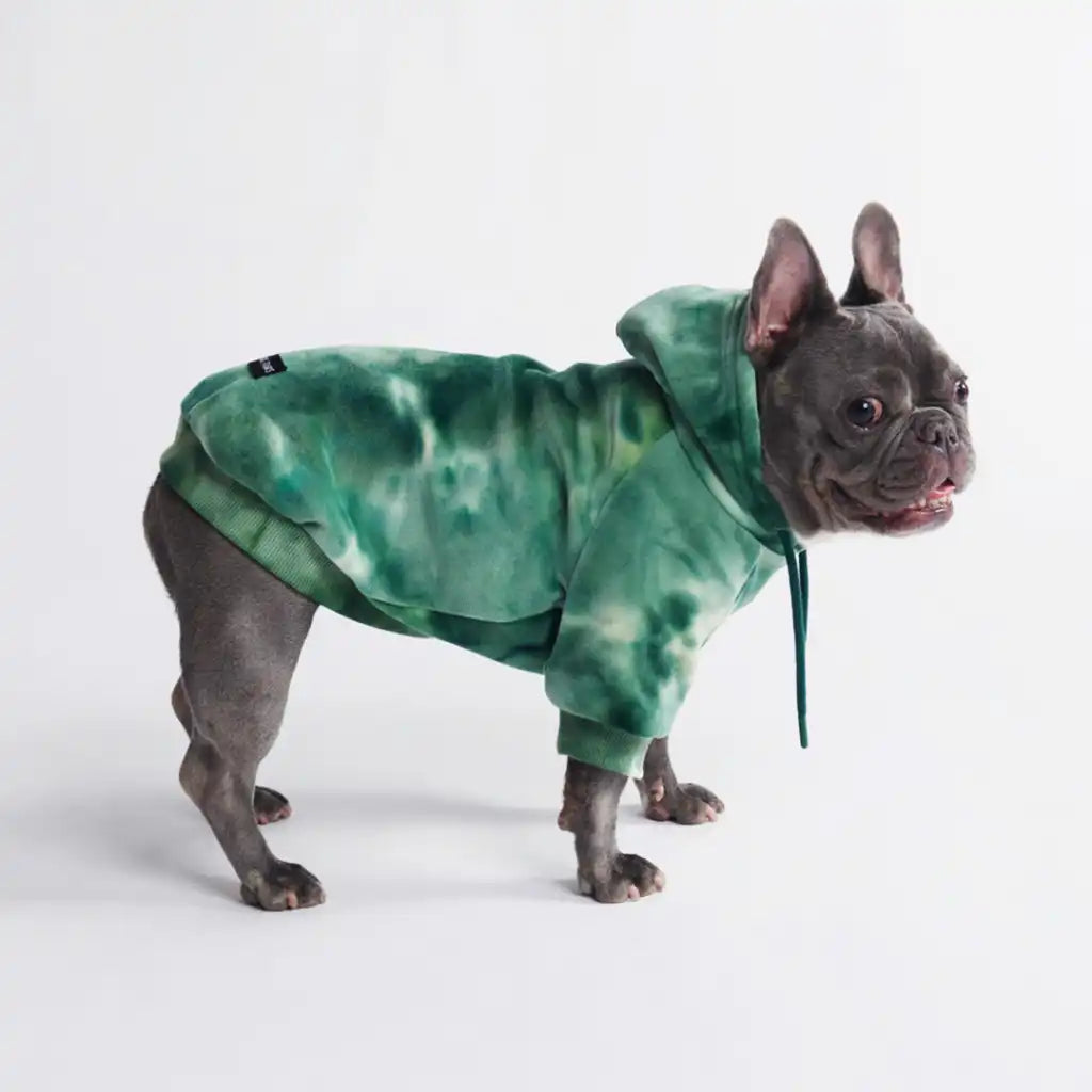 sparkpawsmaut.com
