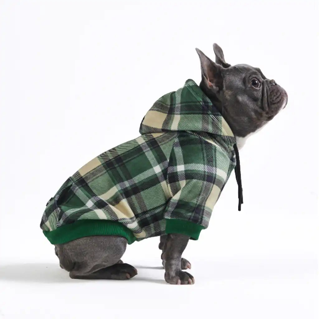 sparkpawsmaut.com
