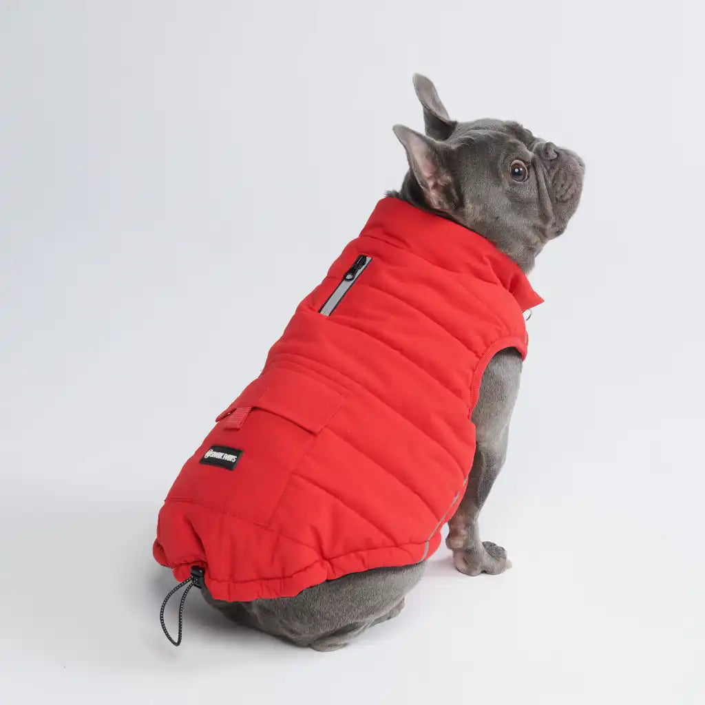 sparkpawsmaut.com