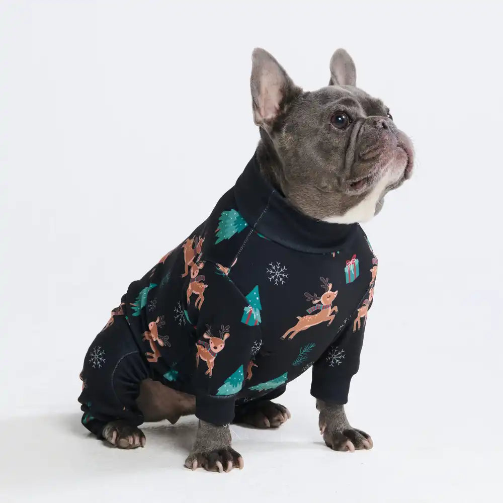sparkpawsmaut.com
