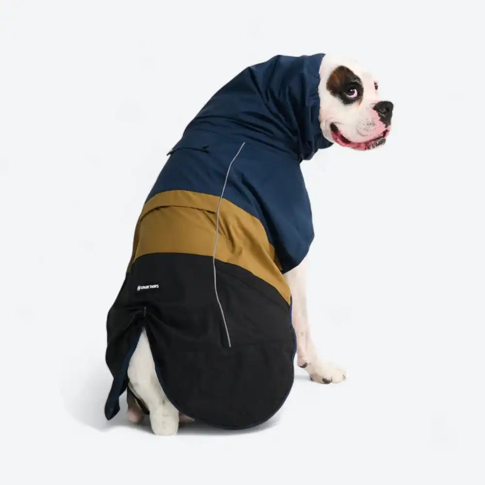 sparkpawsmaut.com