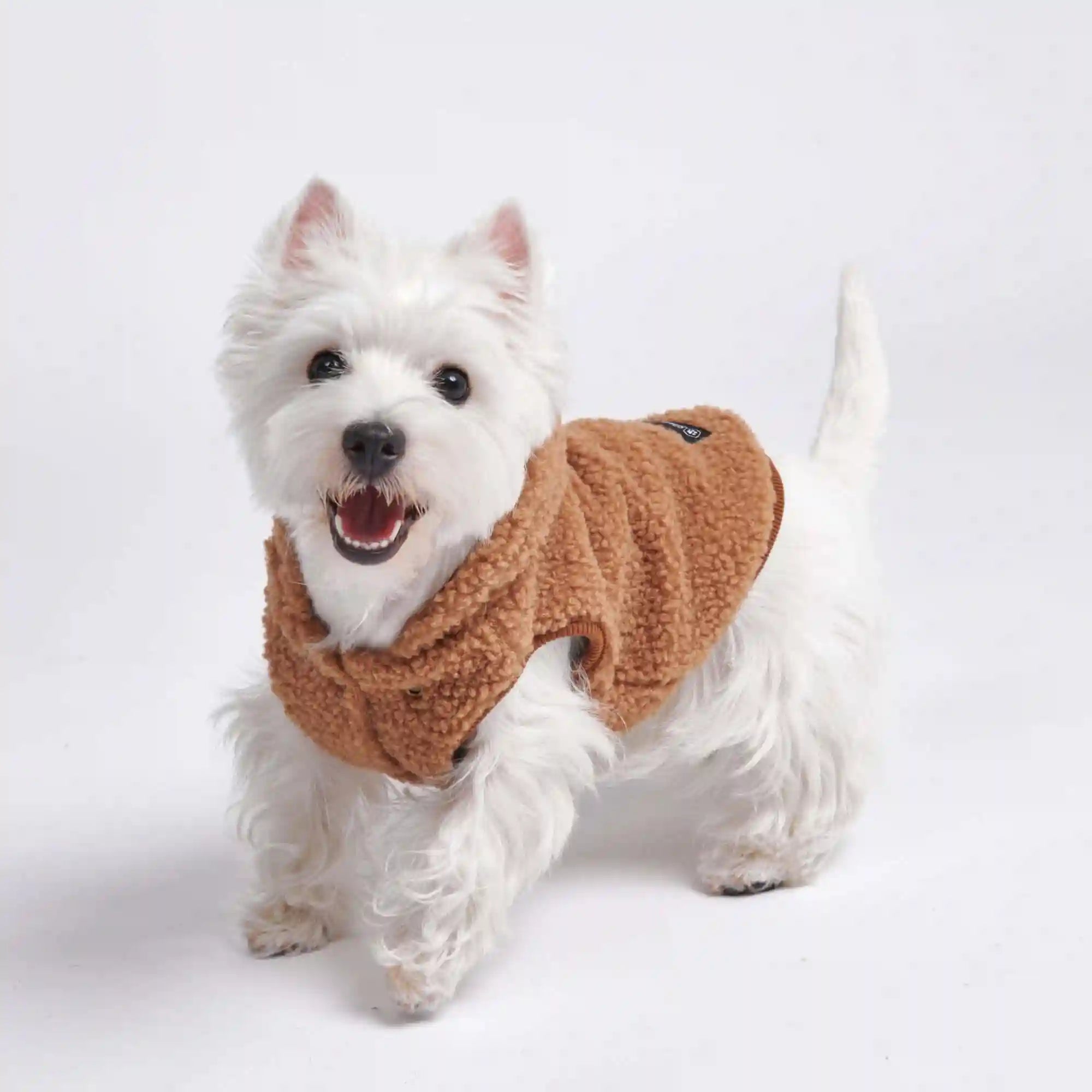 sparkpawsmaut.com