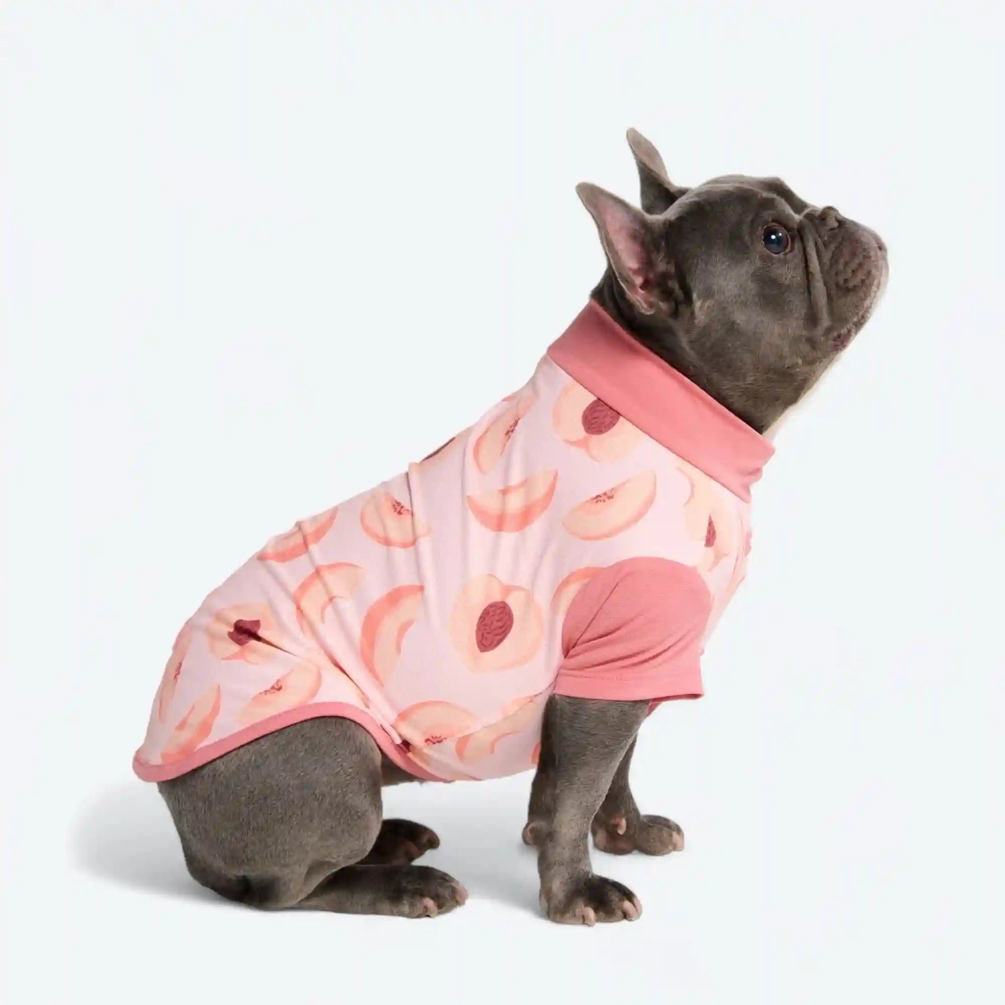 sparkpawsmaut.com