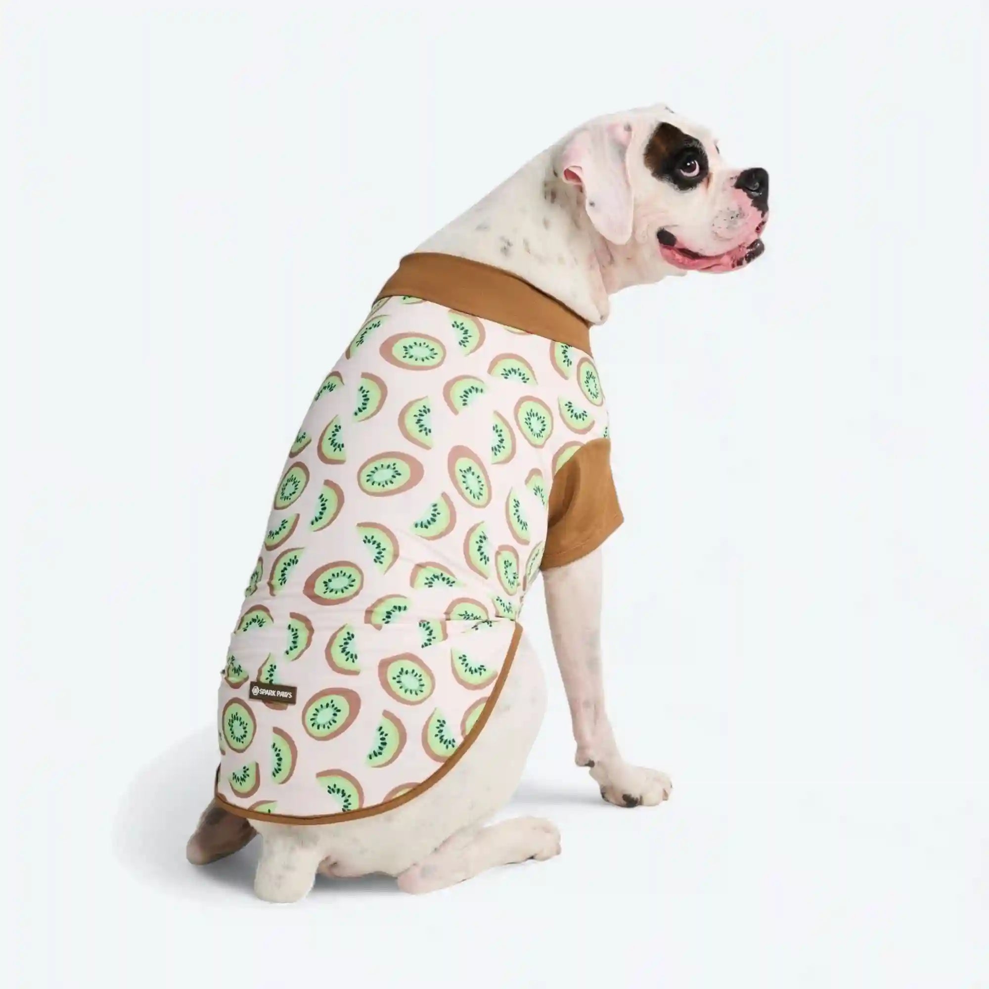 sparkpawsmaut.com