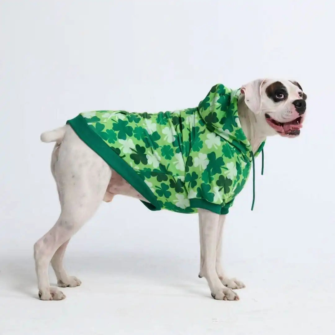 sparkpawsmaut.com