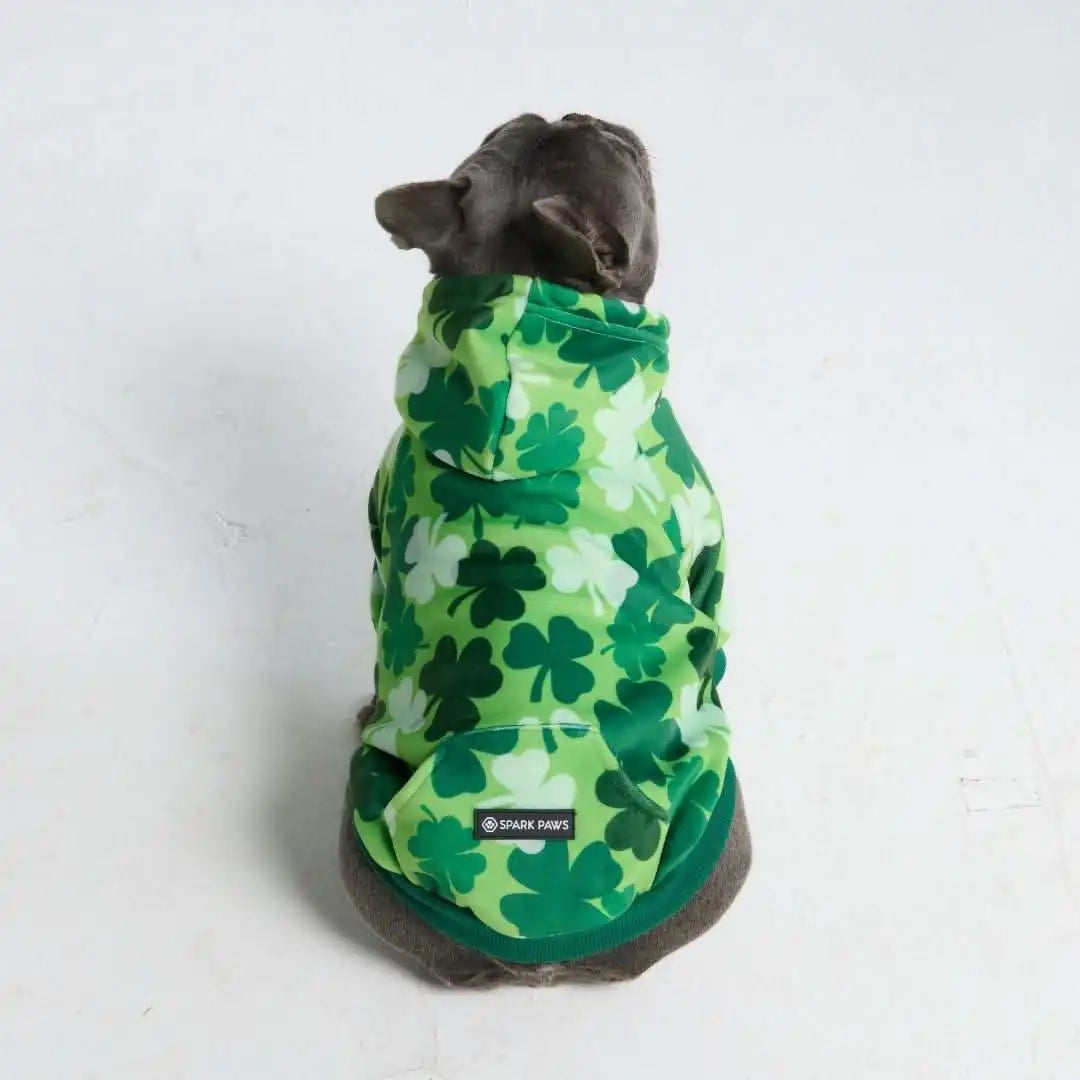 sparkpawsmaut.com