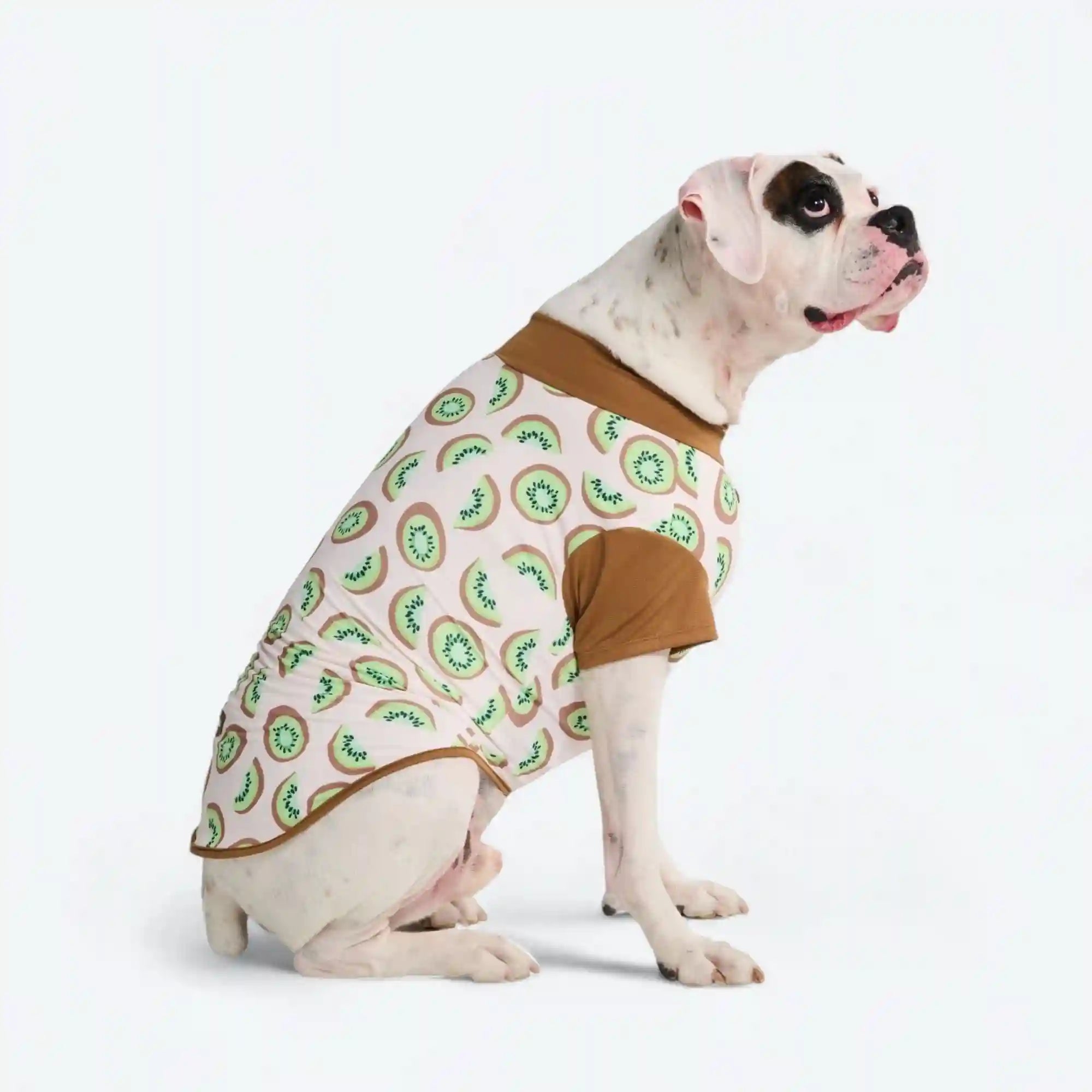 sparkpawsmaut.com