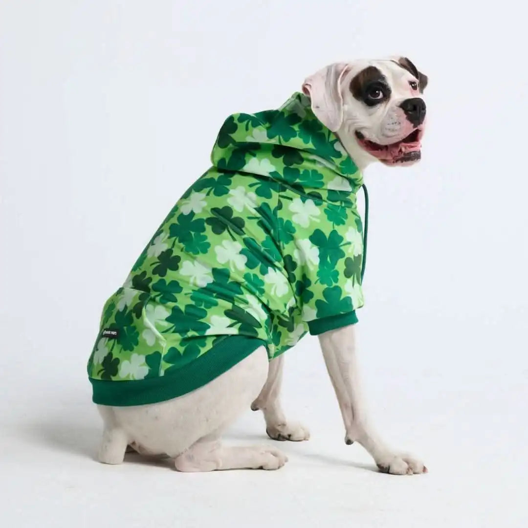 sparkpawsmaut.com
