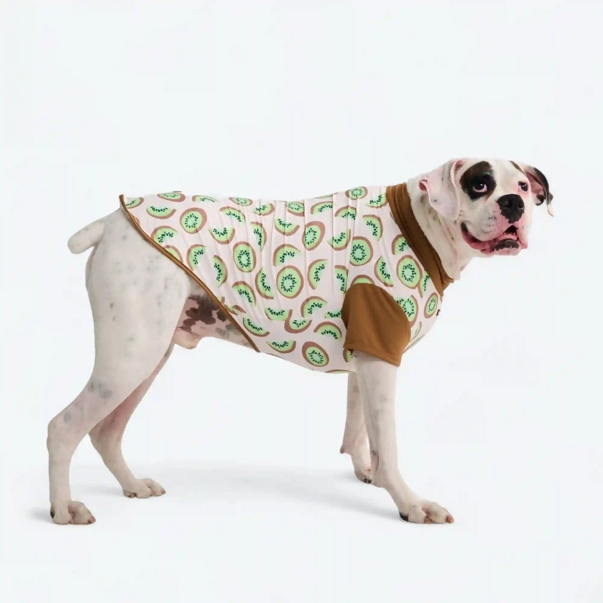 sparkpawsmaut.com