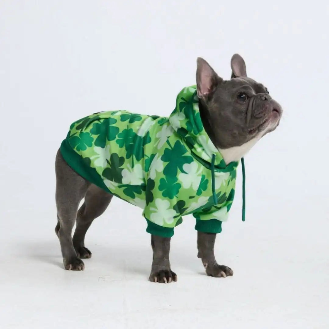 sparkpawsmaut.com
