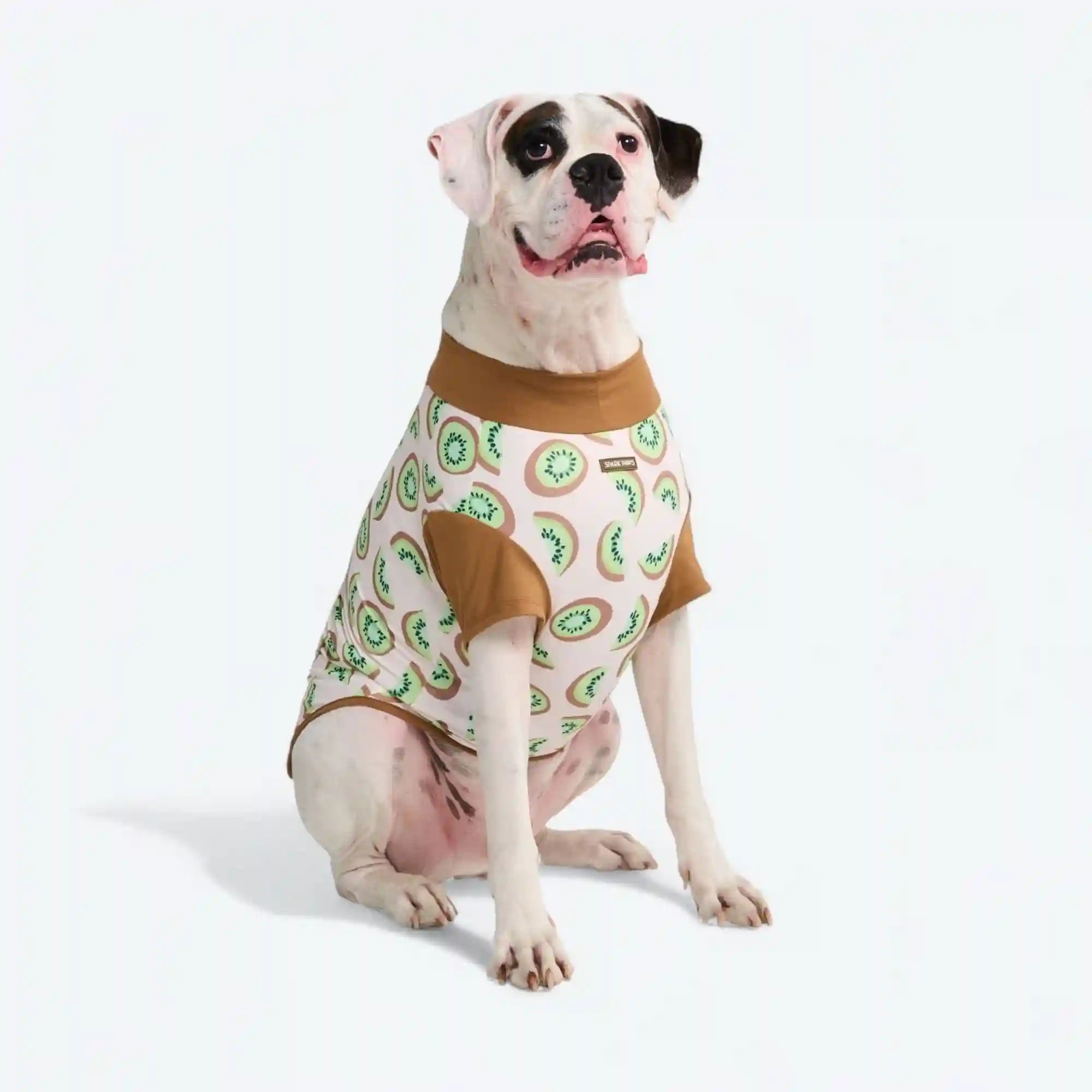 sparkpawsmaut.com