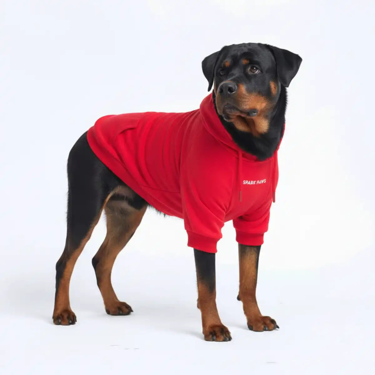 sparkpawsmaut.com