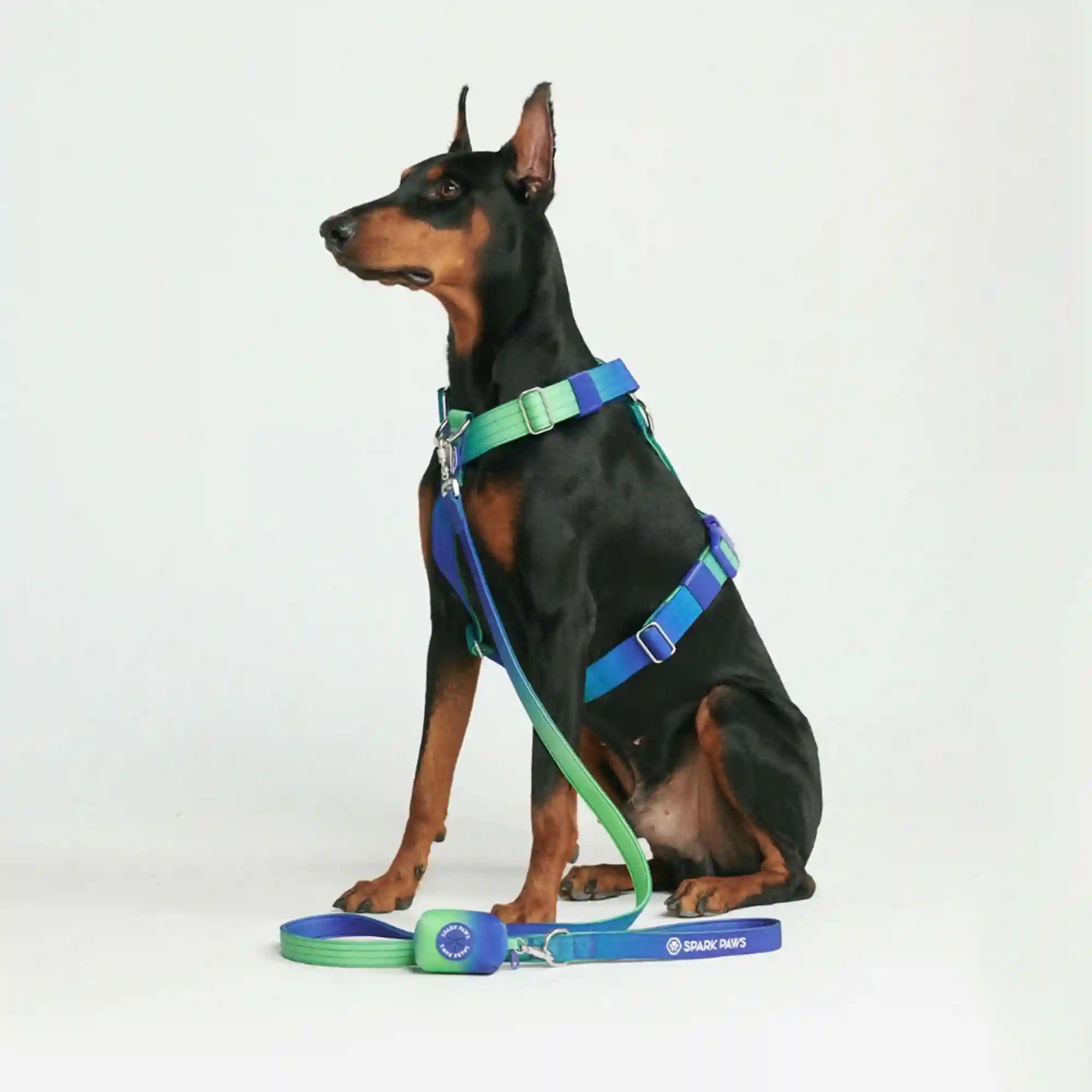 sparkpawsmaut.com