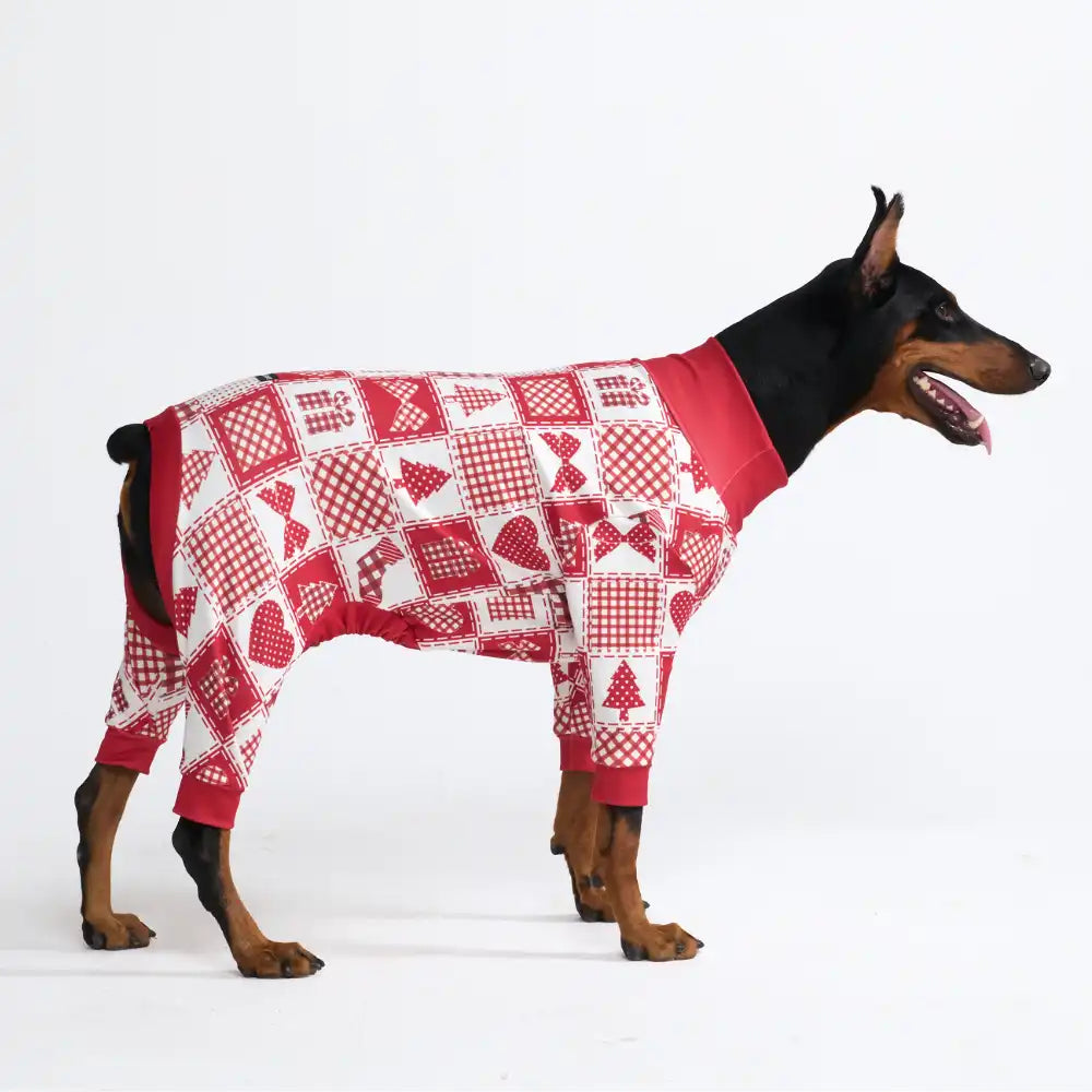 sparkpawsmaut.com