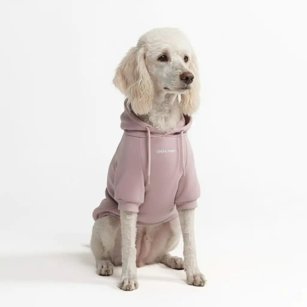sparkpawsmaut.com