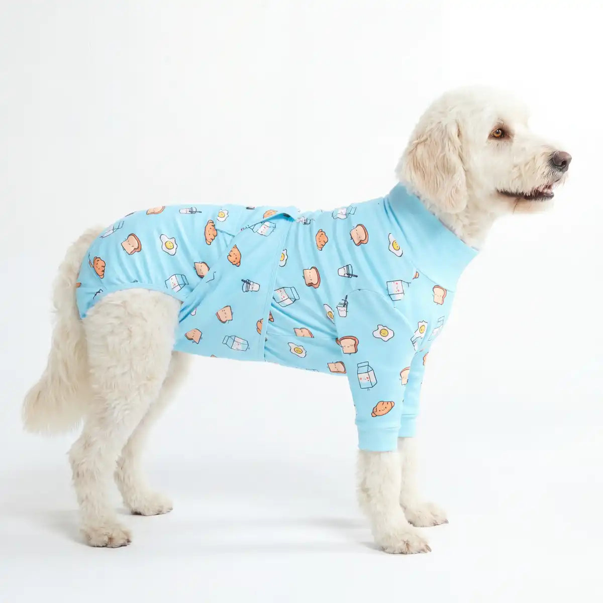 sparkpawsmaut.com