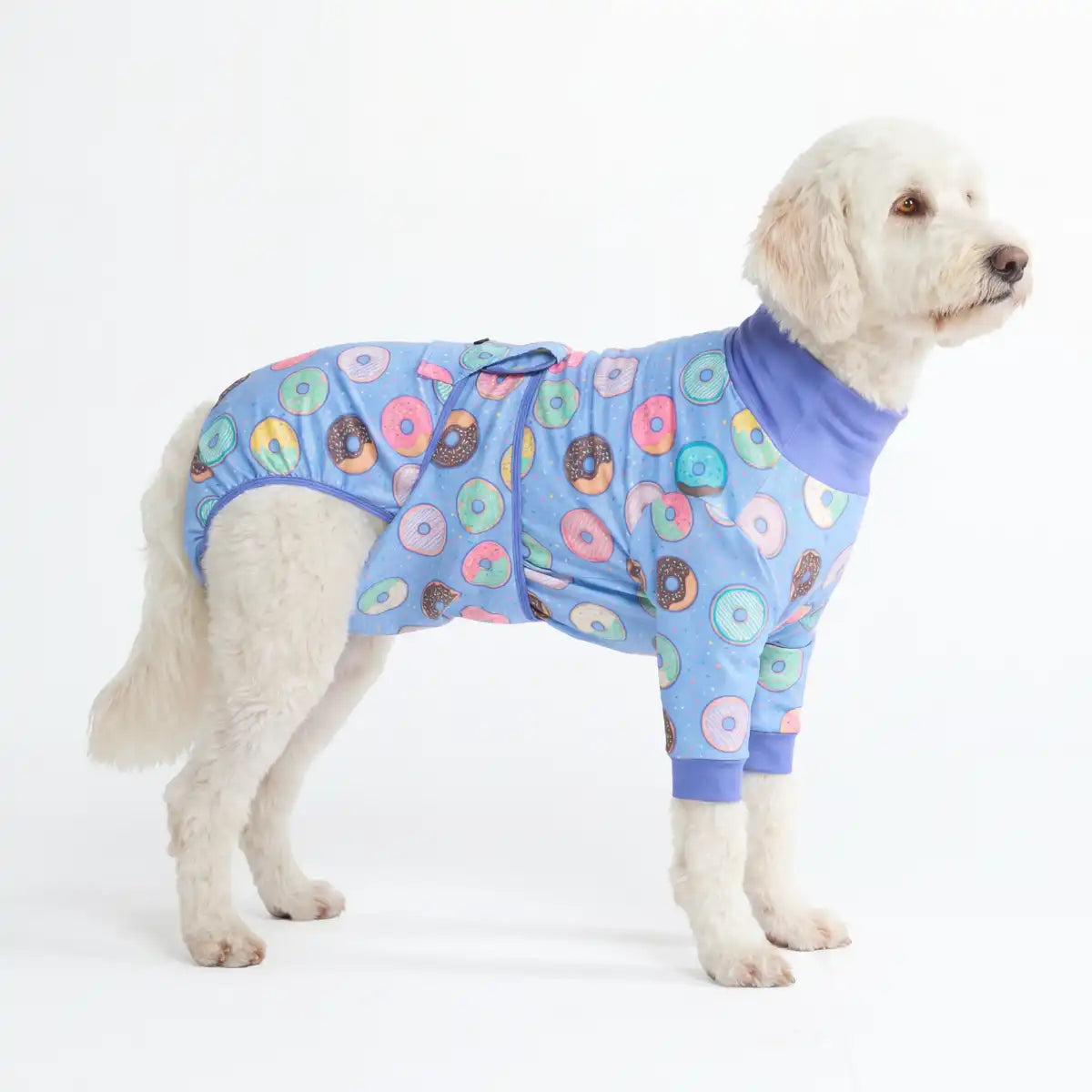 sparkpawsmaut.com
