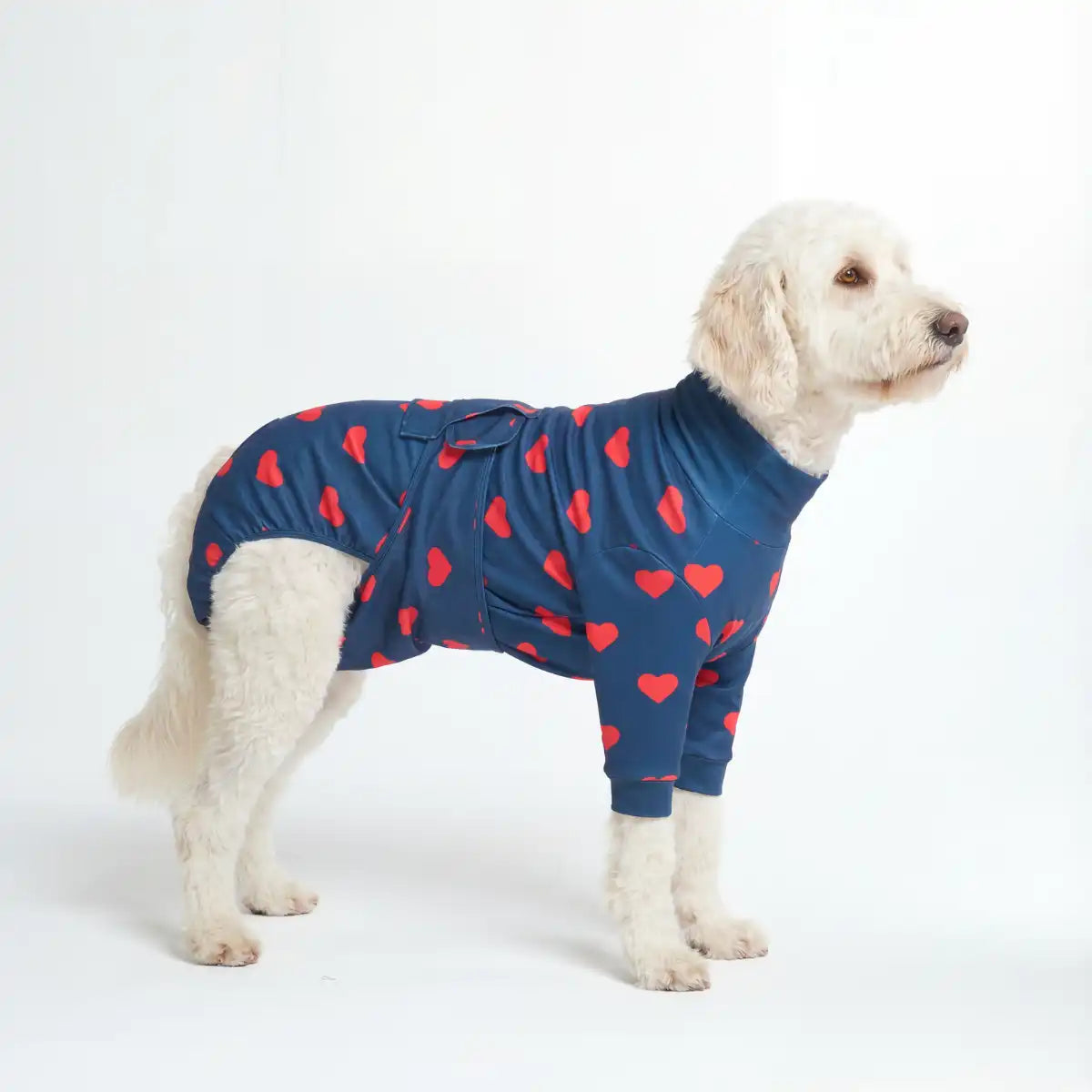 sparkpawsmaut.com
