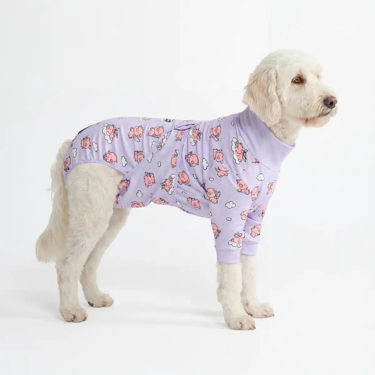 sparkpawsmaut.com