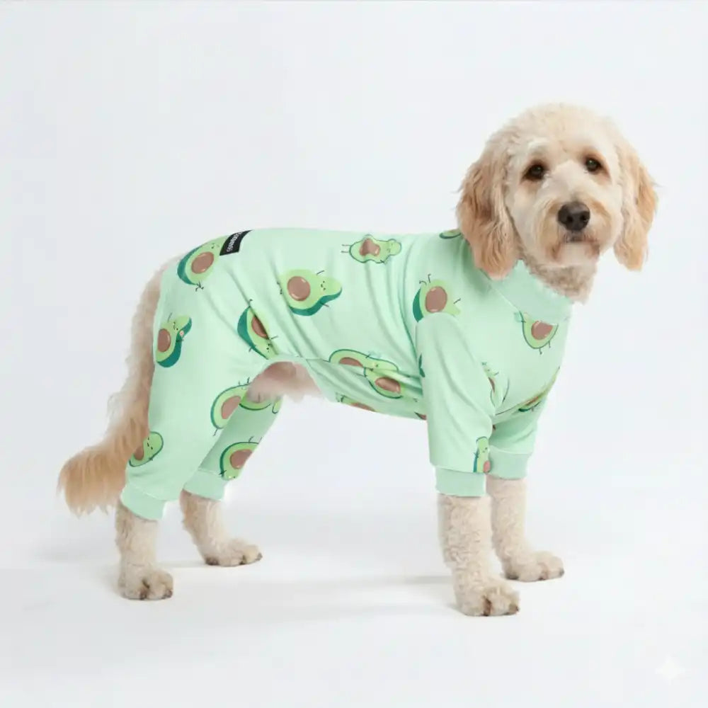 sparkpawsmaut.com