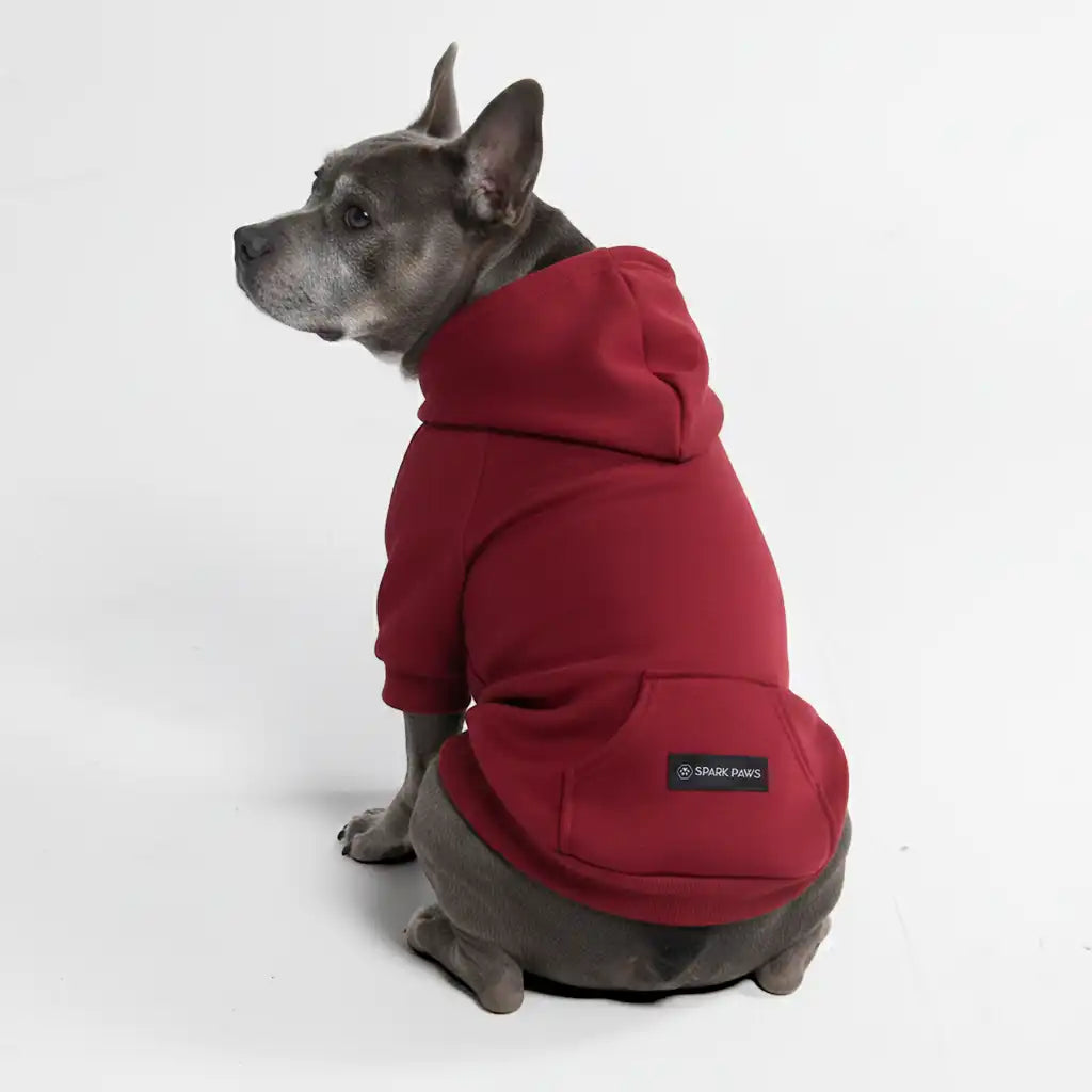 sparkpawsmaut.com