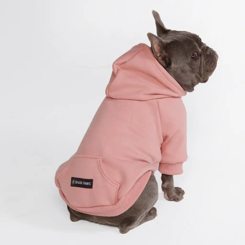 sparkpawsmaut.com