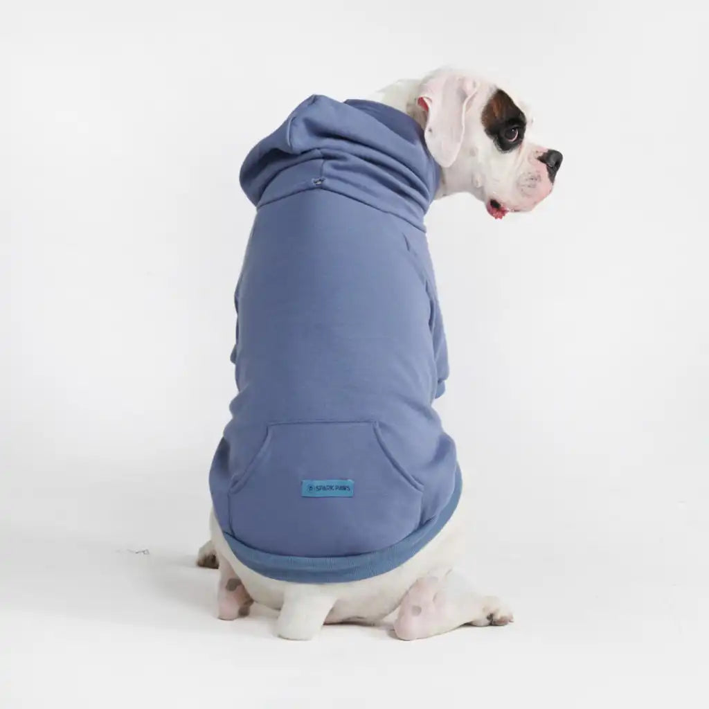 sparkpawsmaut.com