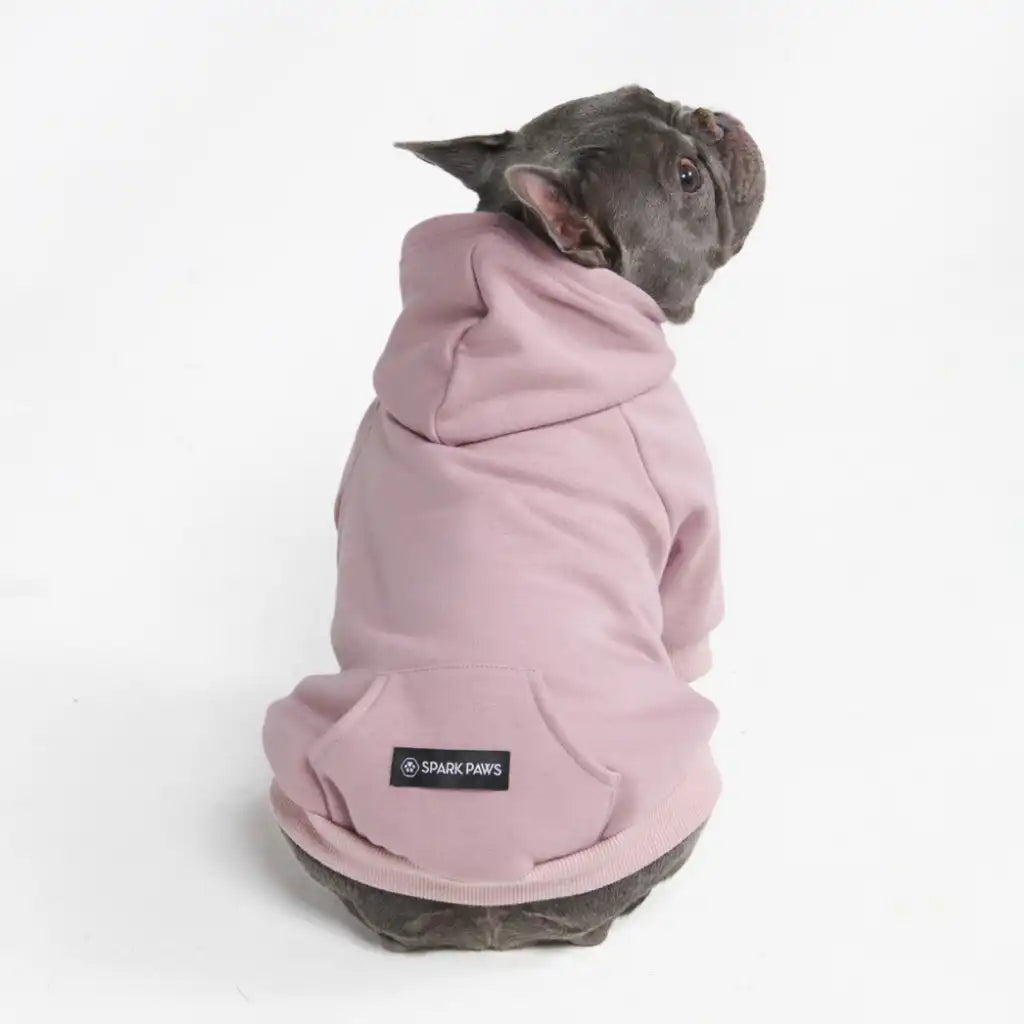 sparkpawsmaut.com