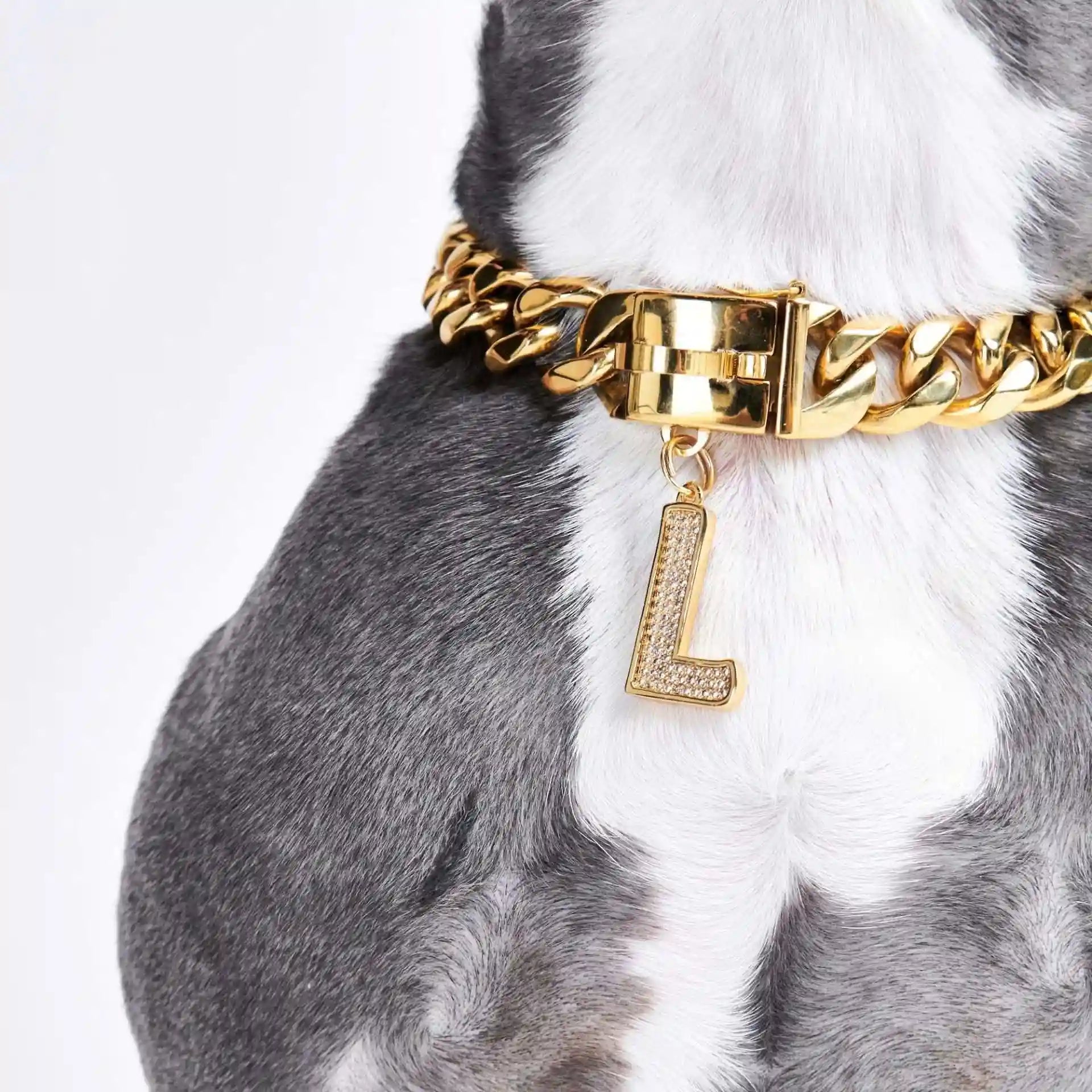 sparkpawsmaut.com