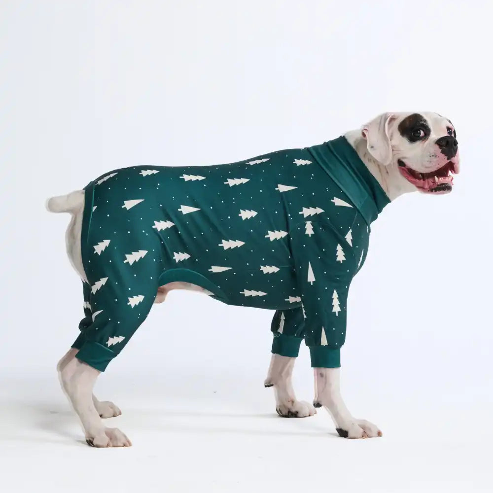 sparkpawsmaut.com